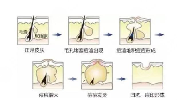  Sichuan Plastic and Cosmetic Hospital Ranks Top Ten