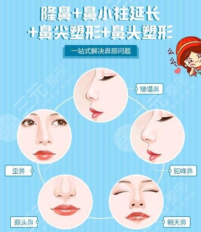  Shenzhen Fuhua nose augmentation