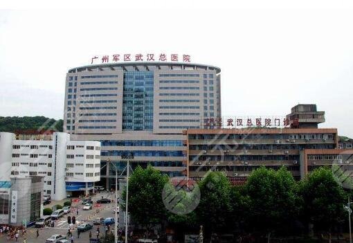  Is the Beauty Department of Wuhan General Hospital of Guangzhou Military Region public