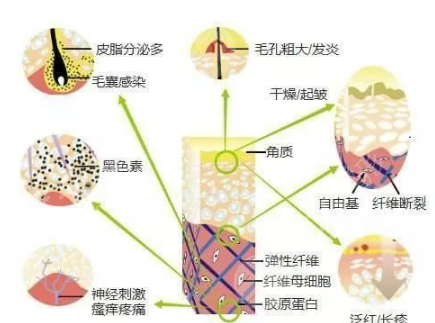  2020 The price of beauty department of Binzhou People's Hospital is coming