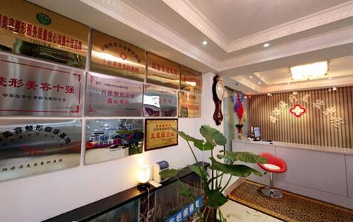  Anyang Tingqi Hot Price List for Plastic Surgery (Price List)