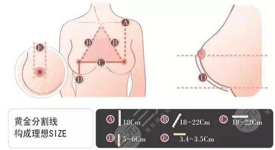  New version of price list of plastic surgery department of Tai'an 88 Hospital gives priority to preview