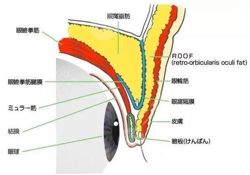  How about the reposition operation in the fat room of Zhang Yuguang of Shanghai Ninth Hospital