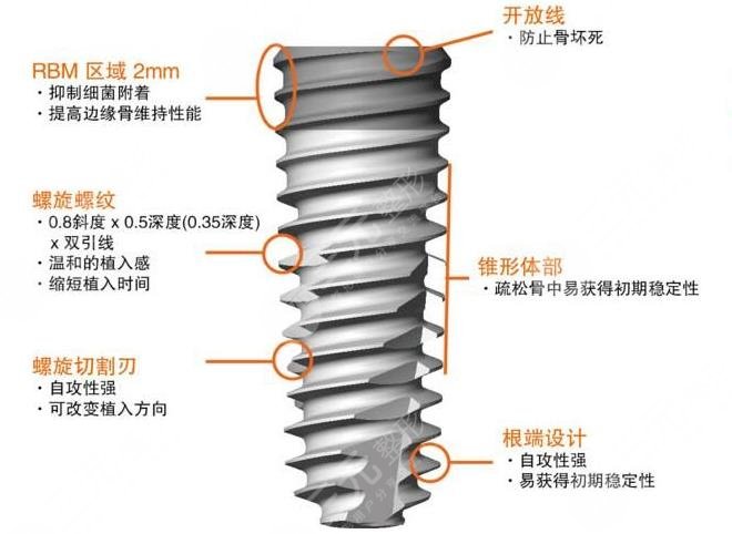 种牙品牌及价格排序