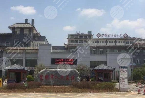  Chuxiong Dental Hospital Company Ranking