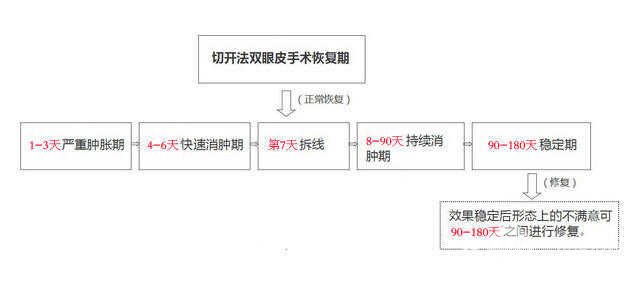  Recovery process chart of total eyelid removal Sharing 365 days' fruits&