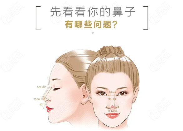  2022 Kunming Wu's Jiamei nose making price