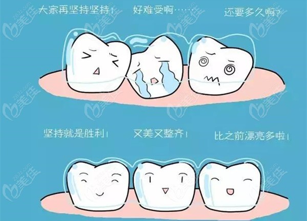  Nanning Dental Orthodontics Price List