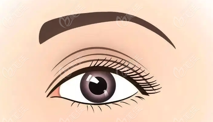  Top 10 domestic double eyelid surgery hospitals