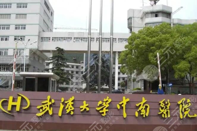  Is the plastic surgery department of Zhongnan Hospital of Wuhan University public or private