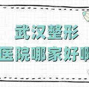 武漢整形醫(yī)院哪家技術(shù)好啊