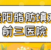 貴陽脂肪填充前三醫(yī)院排名