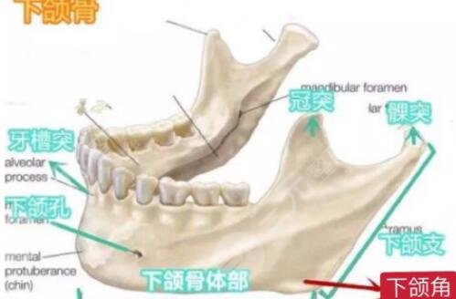 成都華西口腔醫(yī)院磨骨怎么樣