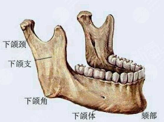 广东美恩做下颌角手术技术好吗