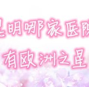 昆明哪家醫(yī)院有歐洲之星