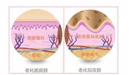 熱瑪吉官網(wǎng)認證機構(gòu)大盤點