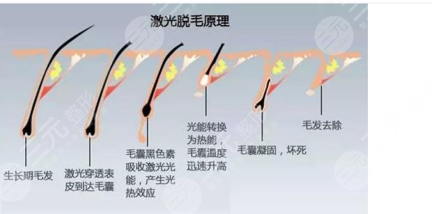 杭州十佳整形醫(yī)院排名全新公布