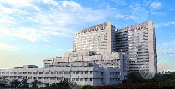 广州正颌公立医院排名