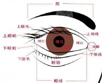 新出爐的西南醫(yī)院美容整形科價目表