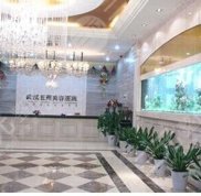 整理武漢十大整形醫(yī)院排名榜