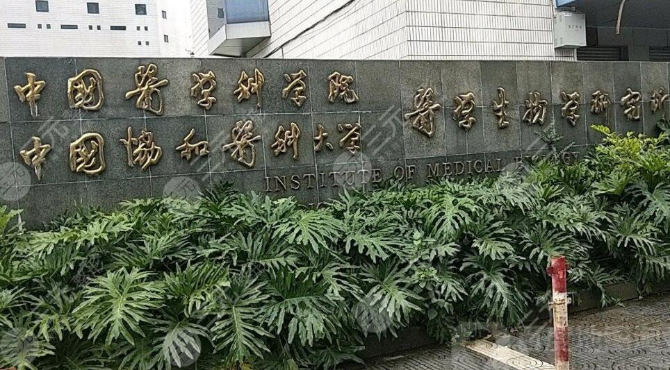 中国医学科学院激光美容中心主任医生信息