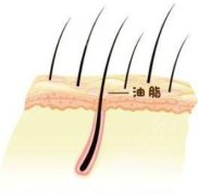 在南京植發(fā)哪家機(jī)構(gòu)好