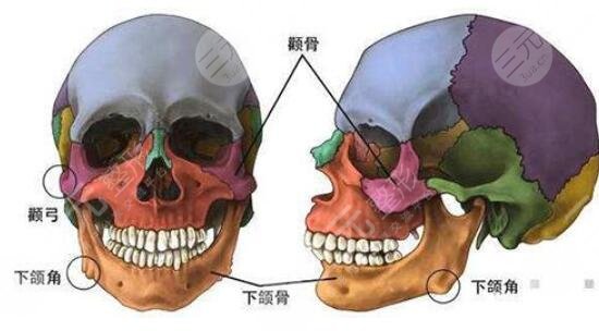 八大處美容整形怎樣