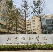 北京協(xié)和美容科怎么樣