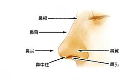 上海光博士隆鼻技术怎么样