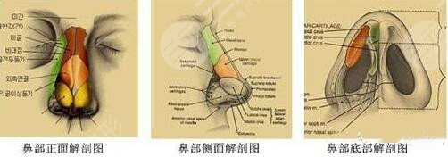 九院整形和長征整形各自優(yōu)勢是什么