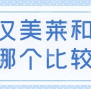 武漢美萊和中翰哪個(gè)比較好