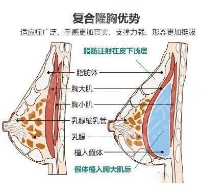 广州第一人民医院整形科医生名单