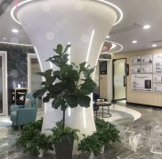 桂林新華醫(yī)療美容整形中心價格表