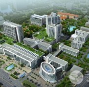 海南省人民醫(yī)院植發(fā)掛什么科