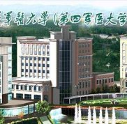 西京醫(yī)院美容整形科實力怎么樣