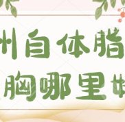 鄭州自體脂肪隆胸選哪里好