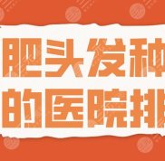 合肥頭發(fā)種植好的醫(yī)院排名