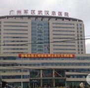 武漢廣州軍區(qū)總醫(yī)院整形科怎么樣