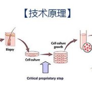 宜昌哪里植發(fā)比較好