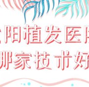 沈陽植發(fā)醫(yī)院哪家技術(shù)好
