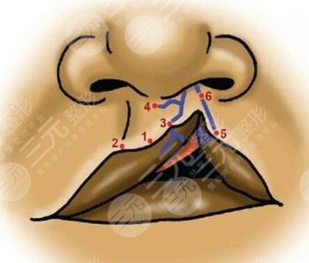九院和八大處做唇部修復那個好