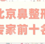 北京鼻整形專家前十名都有誰