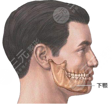 劉劍鋒下頜角做的怎么樣