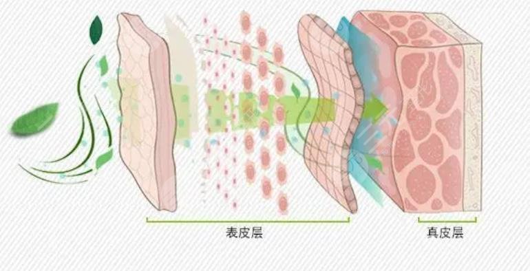 李方奇取生長因子怎么樣