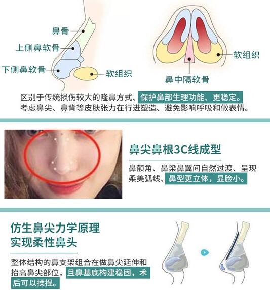 上海隆鼻专家前十名有哪些