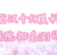 武漢十大眼科醫(yī)院排名火爆來襲