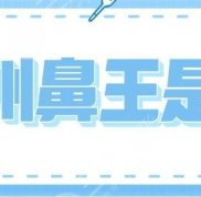 廣州鼻王到底是誰