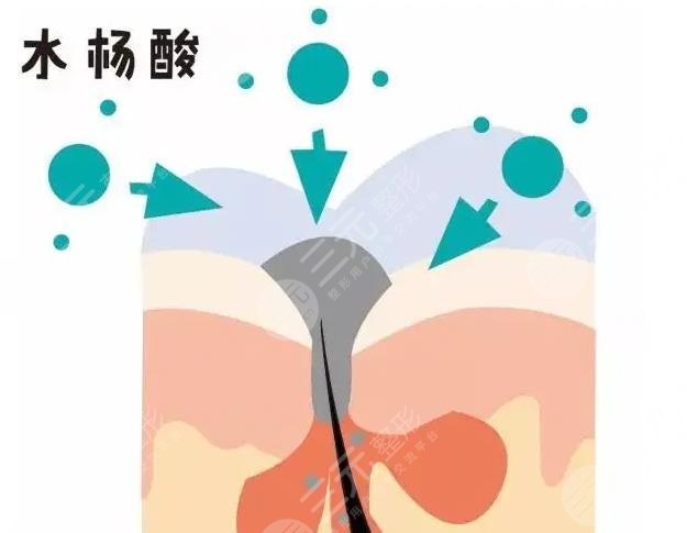 水楊酸的作用和危害你知道嗎