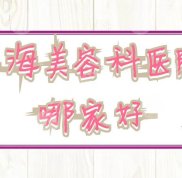 上海美容科醫(yī)院哪家好