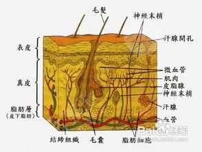 協(xié)和鐘愛梅案例來襲